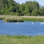 Vakantieboerderij Grodzisko *