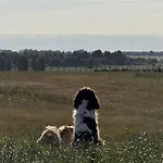 Vakantieboerderij Grodzisko Lidzbark Welski