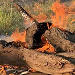 Vakantieboerderij Grodzisko