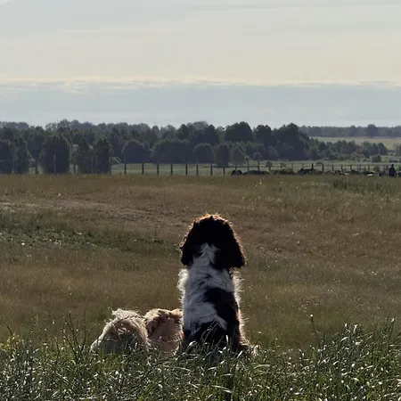 Gospodarstwo agroturystyczne Grodzisko Lidzbark Welski